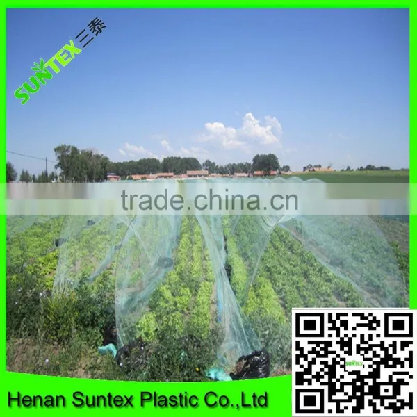 Anti Hail Vegetable Nursery Sun Shade Net /plastic Greenhouse Shade Net With Favorable Price photo-3