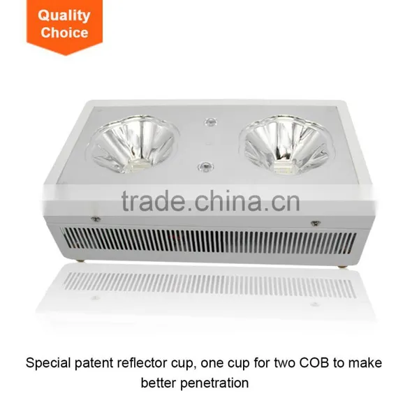 Greenhouse Plant Cob uv Lamps Full Spectrum Led Grow Lights photo-3
