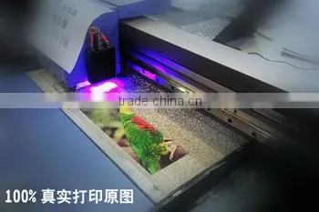 LED Curable UV Ink Aomya for Epson Head Printer Dx5 photo-3