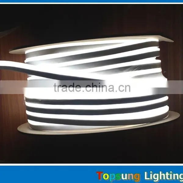 Home Decoration 8*16mm Led Flex Neon Light for Building photo-6