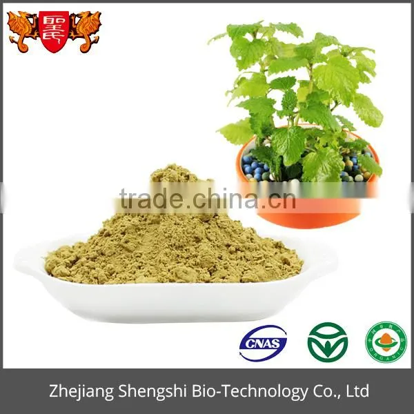 Best Price Optimal Level 100% Natural Wild Mint Herb Extract photo-3