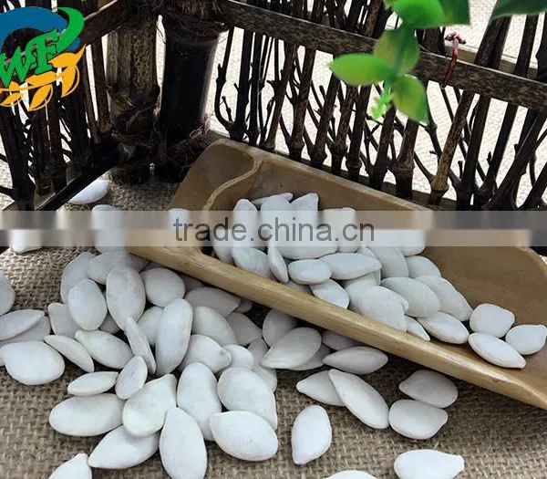 Salted and Roasted Snow White Pumpkin Seeds