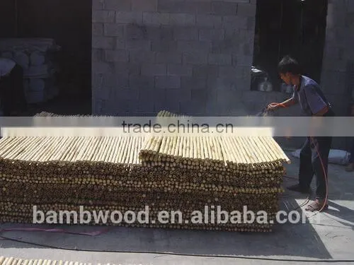 Wholesale China Cheap Bamboo Fence photo-6