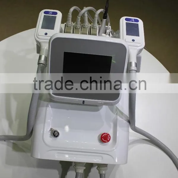 Fat Freezing Machine Home Device/best Slimming Machine/galvanic Cellulite Reduction Slimming Machine photo-3