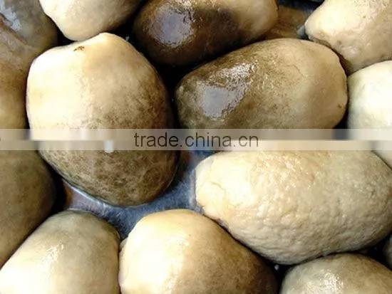 Canned Whole Button Mushroom photo-6