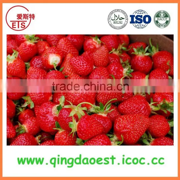 Best Price Fresh Strawberry photo-6