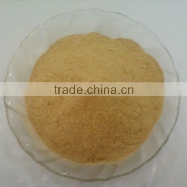 INDIAN DRIED GARLIC POWDER FOR SELL photo-3