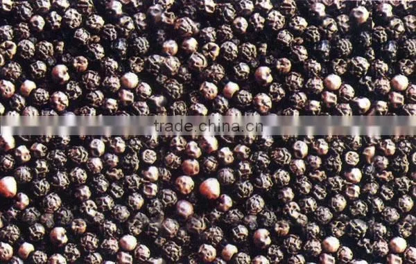Black Pepper Whole photo-2