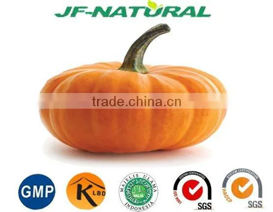 100% Natural Pumpkin Extract Powder ISO, GMP, HACCP, KOSHER, HALAL Certificated photo-2