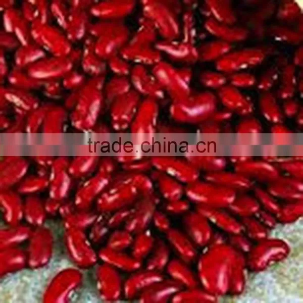 JSX Cooking British Red Kidney Bean Round Shape Food Grade Red Kidney Bean photo-3