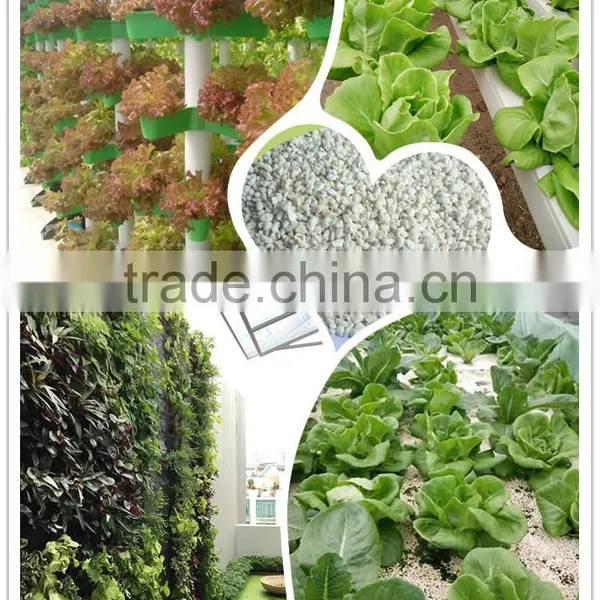 Expanded Perlite 1-3mm, 2-4mm Perlite Soil Amendments photo-5