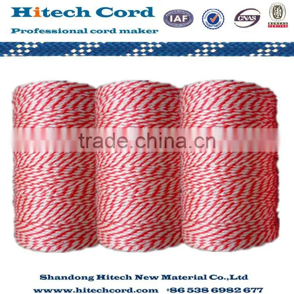 PP Multifilament Twine photo-2