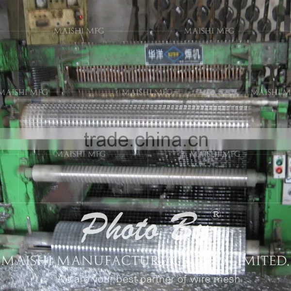 Welded Wire Mesh Fence photo-6