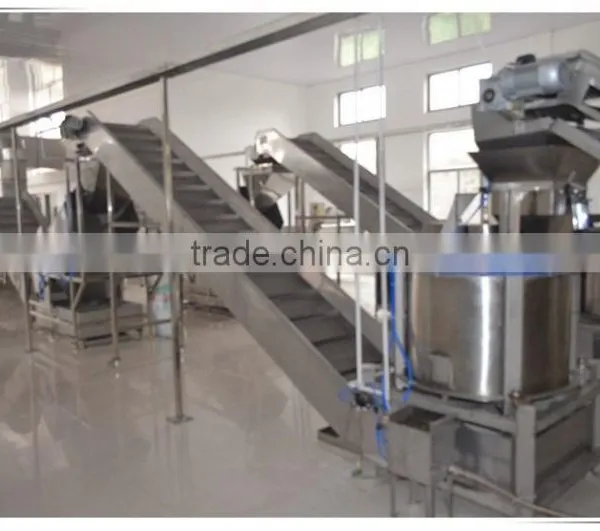 Frying Peanut Production Line photo-2