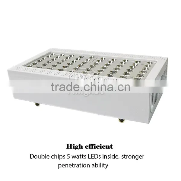 300W Spectrum Slective Led Grow Light, X300 Led Grow Light photo-2