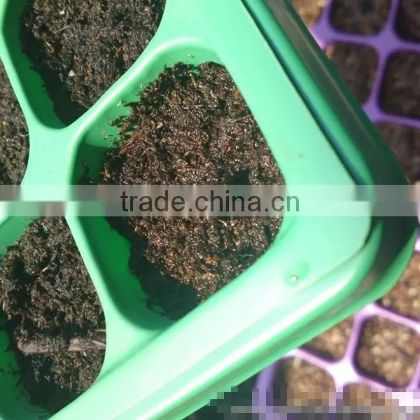 Polystyrene (PS) Plastic Seed Plug Tray With 32 to 512 Cell photo-4