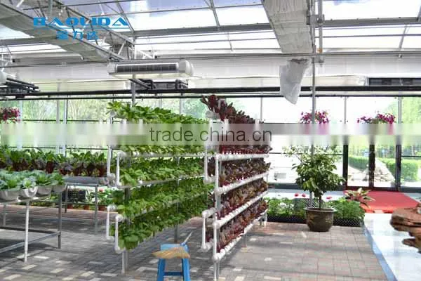 Blackout Vegetable Greenhouse With Steel Frame photo-4