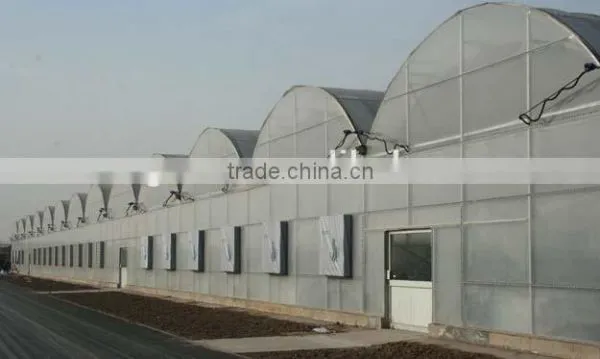 Commercial Greenhouse photo-6