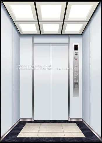 High Quality Cargo Lift by Stainless Steel Plates