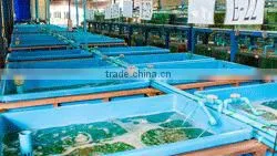 Ornamental Fish Farm and Export Company photo-2