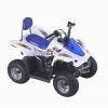 Taiwan Mini ATV- Tiger Shark 50CC