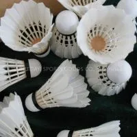 Shuttlecock Supplier China