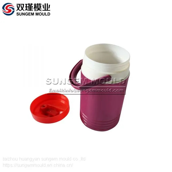 Customized Plastic Injection Water Kettle Mould
