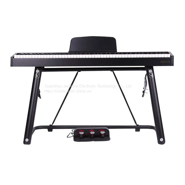 Made in China Wooden Portable Piano 88 Keys Heavy Hammer Digital Piano photo-3