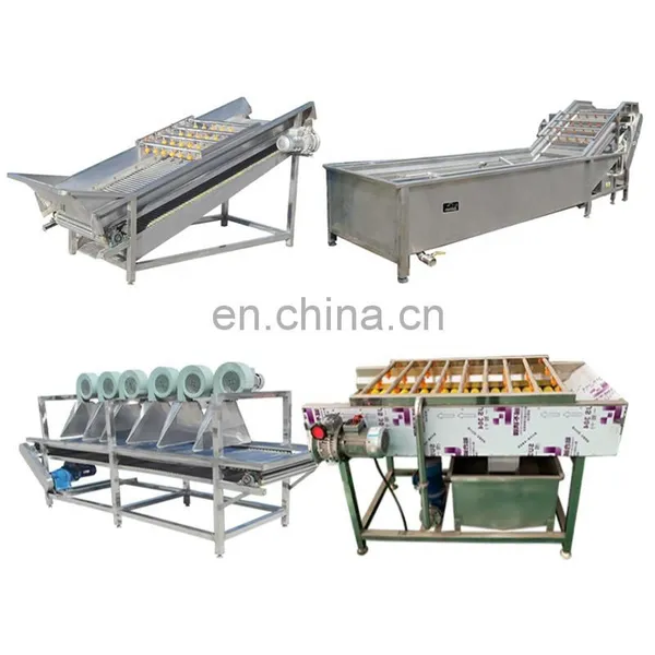 Palm Dates Processing Line Production Line Cleaning Washing Drying Machine photo-3