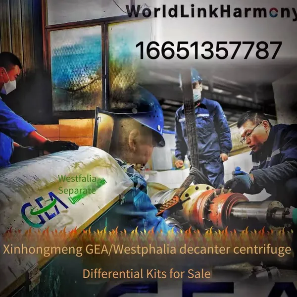 Maintenance of High Oil Temperature Fault of Differential Device of Horizontal Screw Centrifugal Dehydrator for Potassium Chloride Production in Hubei photo-3
