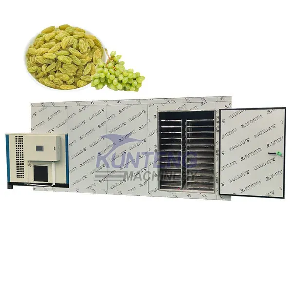 Heat Pump Drying Room Vegetable Fruit Dehydrator Machine Fruit Dryer Grape Raisin Drying Machine EPC