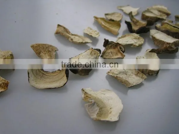 Boletus Edlie Form Yunnan photo-2