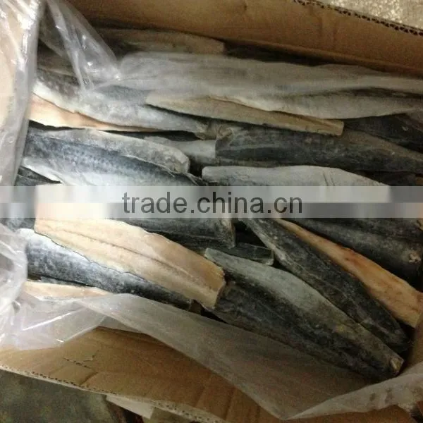 Spanish Mackerel Fillet and Scomberomorus Niphonius photo-4