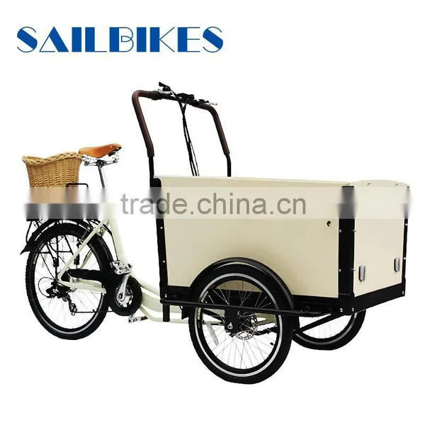 Morden Electric Cargo Trike for Family photo-6