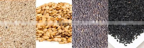 Automatic Advance Dry Method Hulled Sesame Seed Processing Plant photo-5