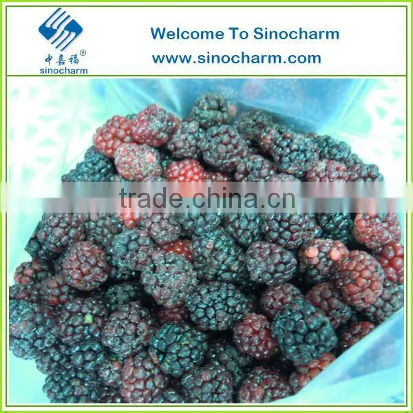 IQF Frozen Blackberry Frozen Fruit
