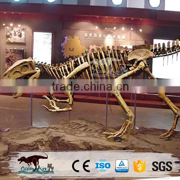 OA4082 High Quality Fossils Dinosaur