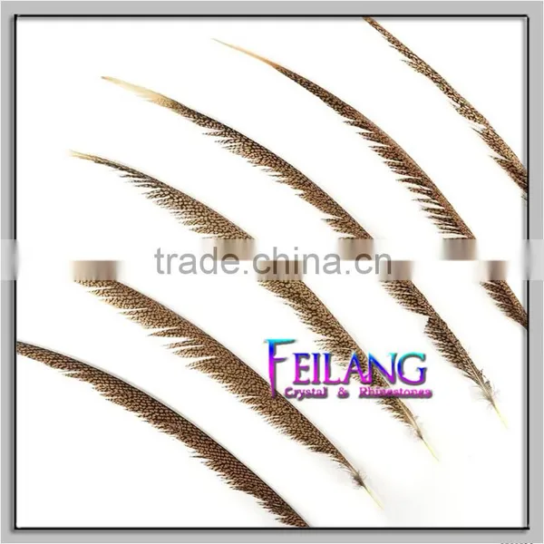 CHEAP PHEASANT GOLDEN FEATHERS photo-2