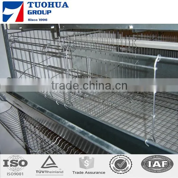 A Type Cages for Broiler Chicken photo-2