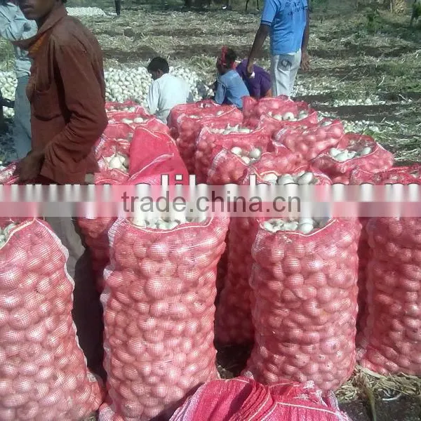 White Onion India