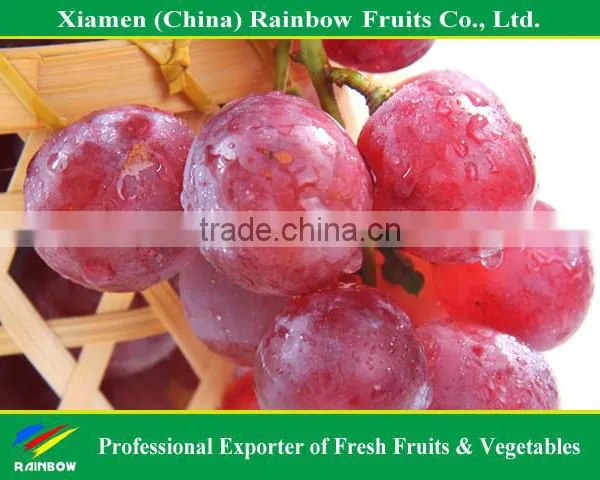 Fresh Yunnan Red Globe Grape With Good Taste Grapes Peru Seedless Grapes photo-4