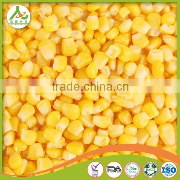 Frozen Canned Sweet Corn photo-6