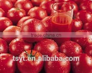 Canned Tin Tomato Paste Best Quality Biggest Producer of Tomato Paste in Carton for Different Brix 28-30% 36-38% photo-6