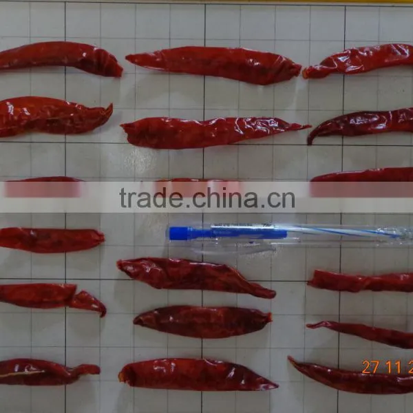Stemless Dried Chilli photo-3