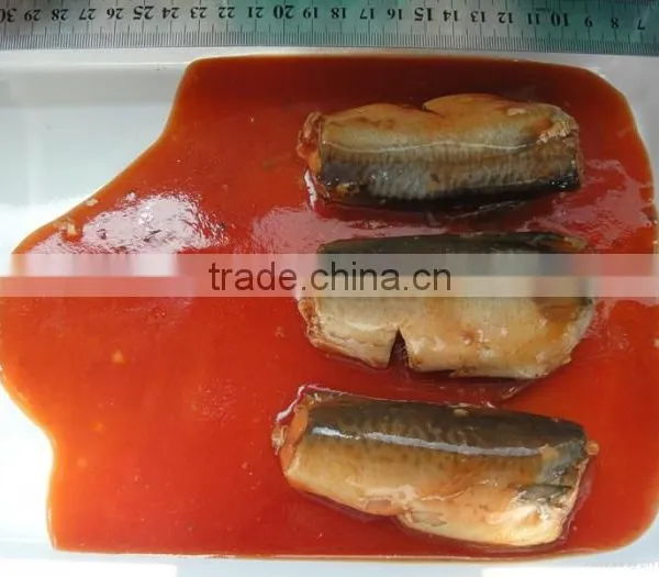 Canned Mackerel in Tomato Sauce photo-3