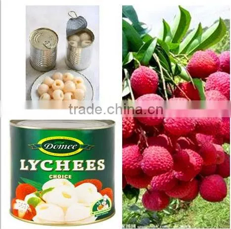 Canned Fruit Canned Lychee Whole