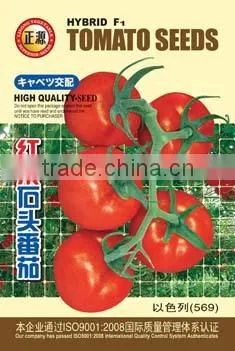 High Yield Tomato Seeds Seeds for Sale