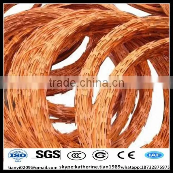 Border Security System China High Quality Plastic Coating Concertina Razor Wire photo-5