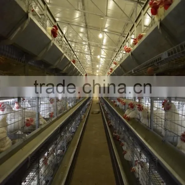 Poultry Equipments photo-5