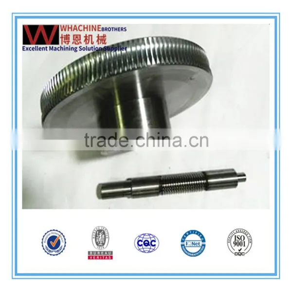 Hot Sale Elevator Worm Gear With High Precision Made By WhachineBrothers Ltd photo-3
